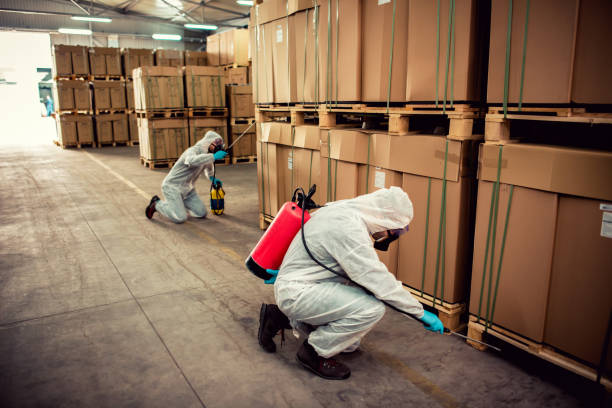 Best Pest Control Near Me  in Carpendale, WV
