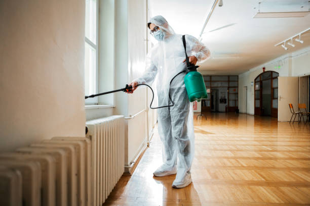 Best Termite Control Services  in Carpendale, WV